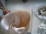 CA280335.jpg