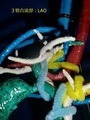 CIMG0120.JPG