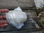 CIMG0410.JPG