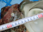 CIMG0527.JPG