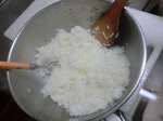 CIMG3028.JPG