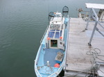 CIMG7689.JPG