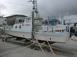 CIMG7963.JPG