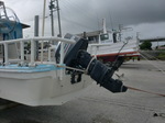 CIMG7964.JPG