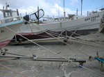 CIMG7966.JPG