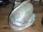 CIMG7995.JPG