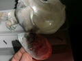 CIMG8468.JPG
