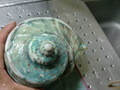 CIMG9561.JPG