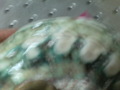 CIMG9562.JPG