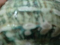 CIMG9563.JPG