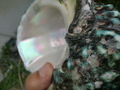 CIMG9567.JPG