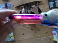 CIMG9762.JPG