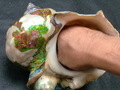 CIMG9774.JPG