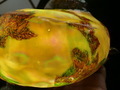 CIMG9779.JPG