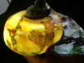 CIMG9780.JPG
