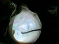 CIMG9781.JPG
