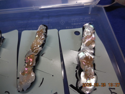 DSCN1600.JPG