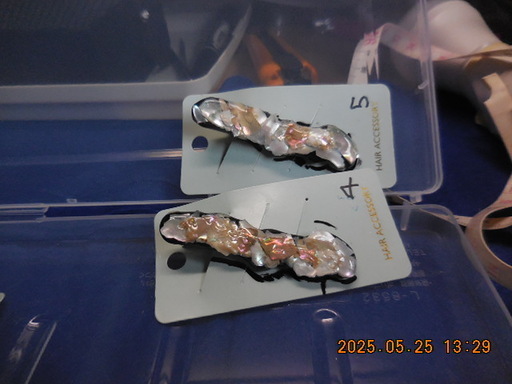 DSCN1603.JPG