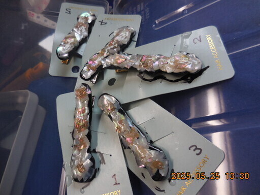 DSCN1609.JPG