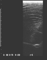 NO-07141.jpg